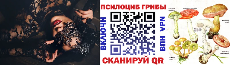 Галлюциногенные грибы GOLDEN TEACHER Абдулино