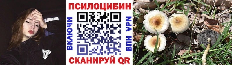 Псилоцибиновые грибы прущие грибы OMG зеркало Абдулино